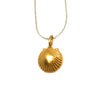 Simplicity of the Sea Shell Necklace